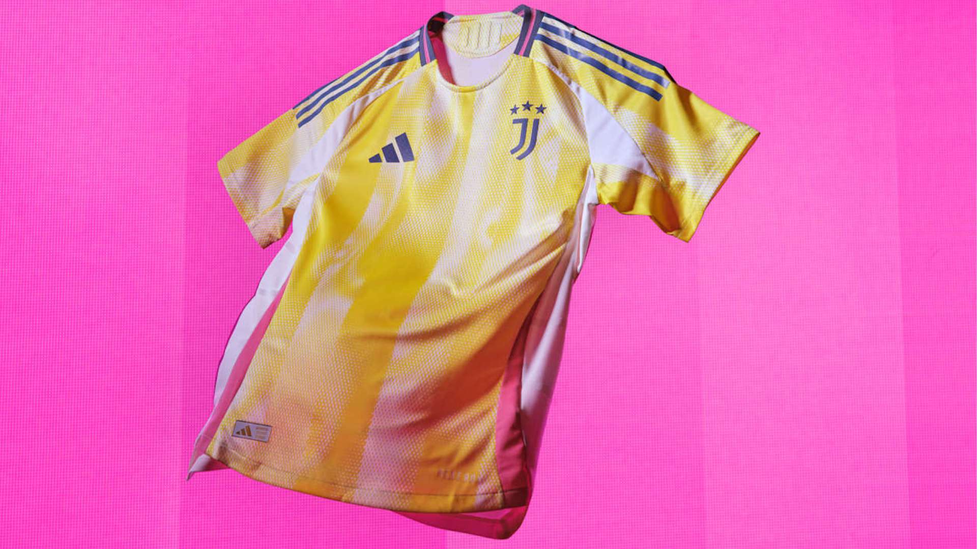 他们的速度 他们的速度