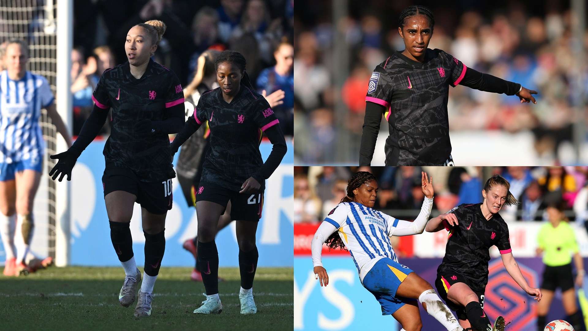 他们将进一 他们将进一